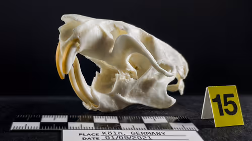 Item #32615301797037247882275066843320251953525887094996780073489952973606141034497 Media