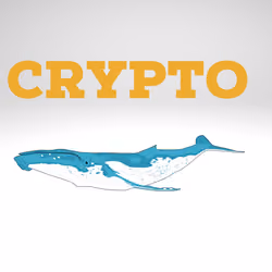 Crypto Whale certificate !