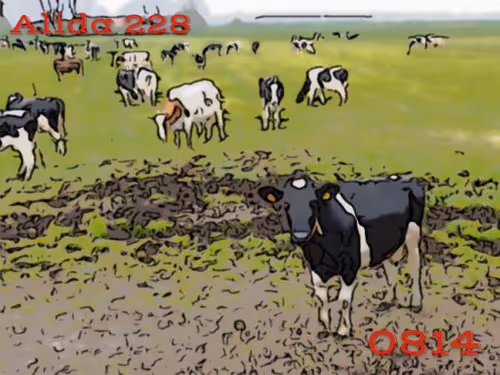 Item #106168068867162485094593885732241547229015412580842941571810197551641924730881 Media