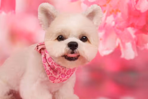 Item #21607923784025543658024067331009769919395041958272689574271021105668226547713 Media