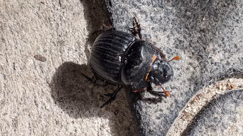 Item #47518194273065051299756248603371626593986050369570479212048397535563797757953 Media