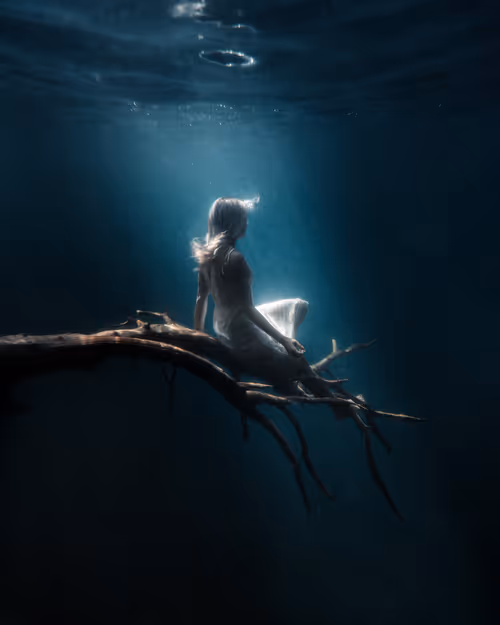 Item #28576884558960261702679330541156353592021494721255183711613472594696777760769 Media