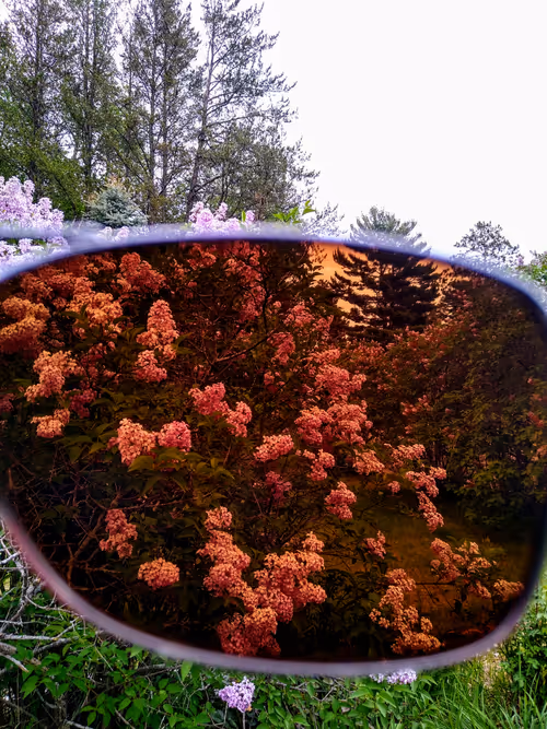 Item #24057865312828856288554598894297638818197838710436473654589626991721299574785 Media