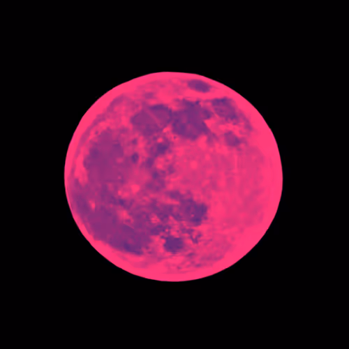 Item #101983409700396166080613188018216707096235636634703201961680544328090419986433 Media