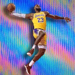 Lebron James Los Angeles Lakers