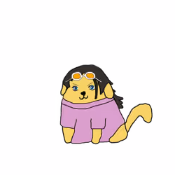 Pirate Doge  #005