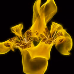 112000724350228495474711911108130364376243231564197861893917062420236337162