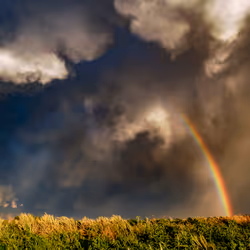 46154160826271547341634704556143841503597126410650149385483954186552155832321