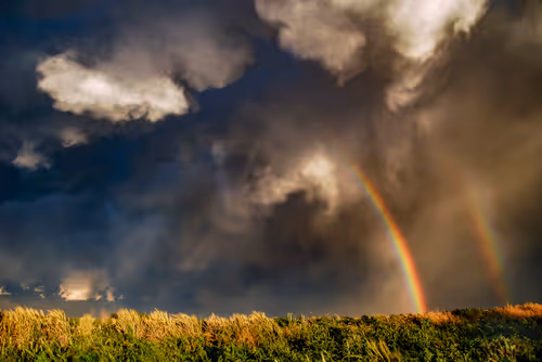 Item #46154160826271547341634704556143841503597126410650149385483954186552155832321 Media