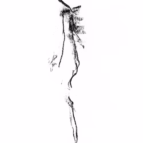 Drawings by Bray