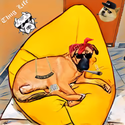 DoggyComfortZone