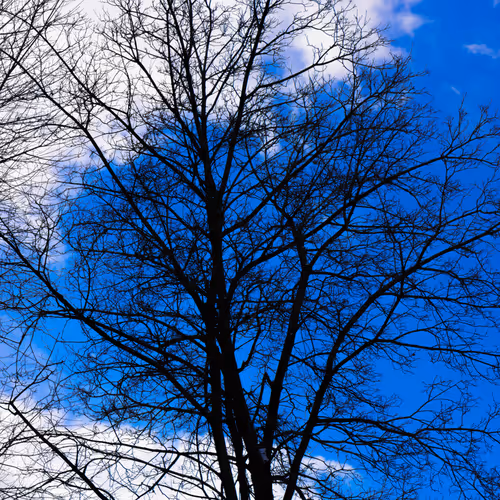 Item #35965218379738729691291467168286792303482134167127854404987491636163412754433 Media