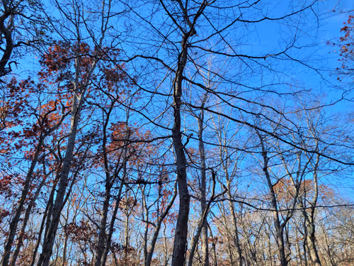 Item #34085441569699423005310991372941828806155687762378495952169943206571917967361 Media