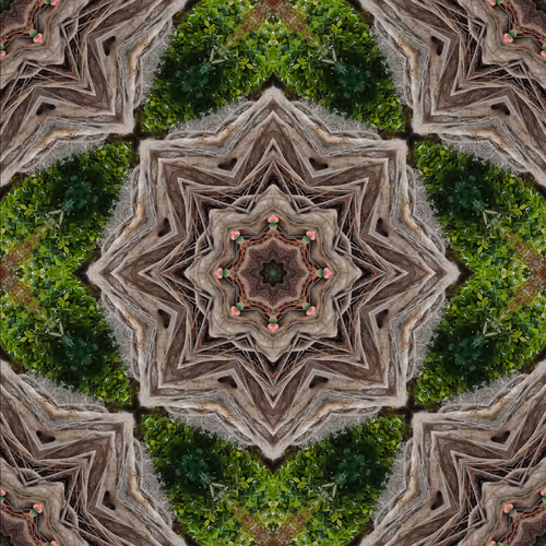 Item #12905120888752978903719114743399414856969811904726015832161736271304903884801 Media