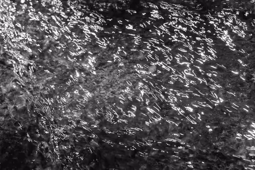 Item #20191380315558166241020242438657395646005713475192427787960701959183848701957 Media