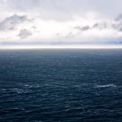 Salish Sea