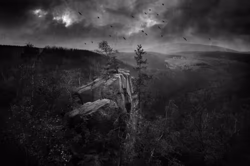 Item #40160686583094733528677484039903516258611509642019211679321071400095584354305 Media