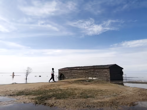 Untitled Collection #69392846