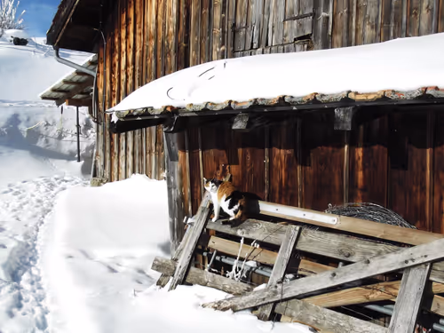 Item #57616968774937305667495645743759075996351860147408322149889343974465175814145 Media