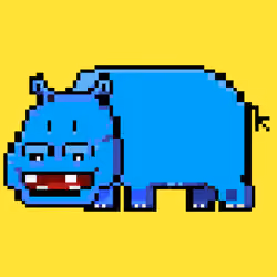 Crypto Hyppo #013