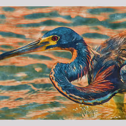 55704534837685659622621715309832868758345944585427688586690141458644808499201