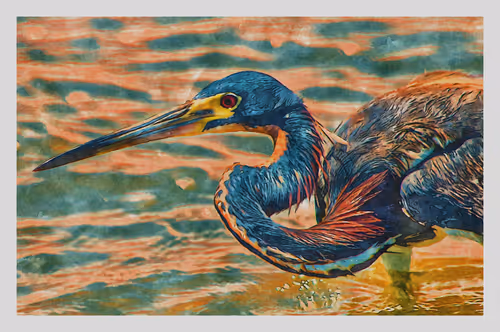 Item #55704534837685659622621715309832868758345944585427688586690141458644808499201 Media