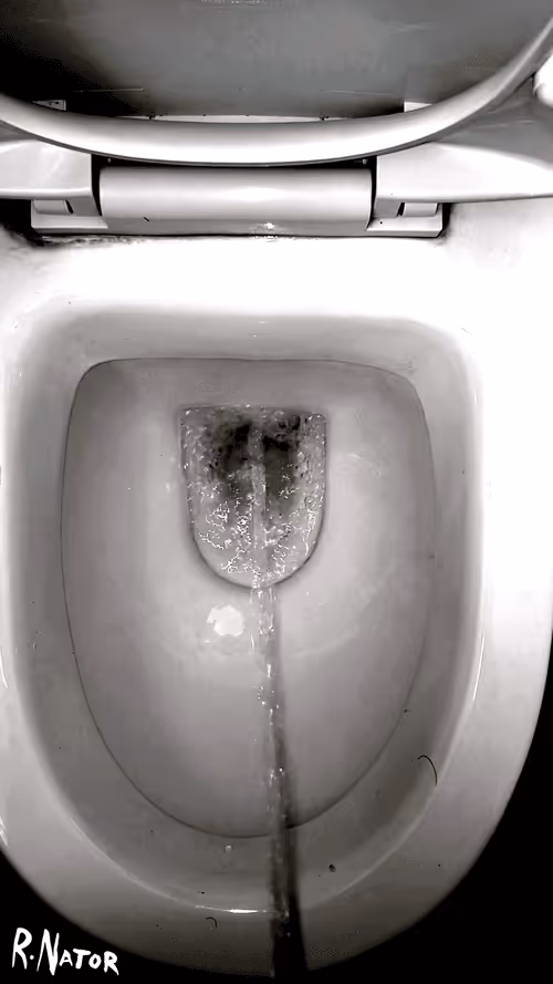 Item #12660136923828748263426703316480839463053827608546839420335323618292086603777 Media