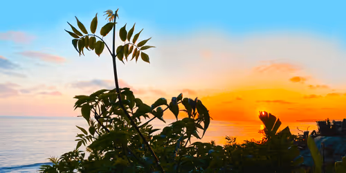 Item #13895770362792469734688406540771864633906230487145014712104887587869095362561 Media