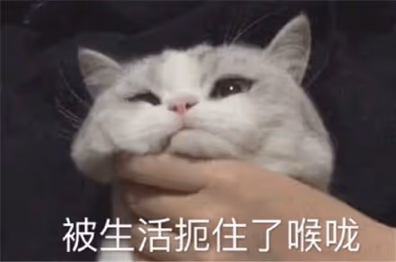qqq88