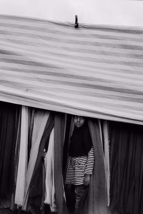 Item #17669670655008351248496382323612876252573131017050160141540695151010044182529 Media