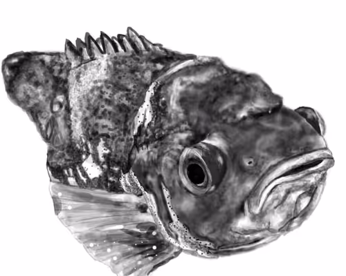 Item #32979819915847657134905122464144943056954992387867001458806650751096228675585 Media