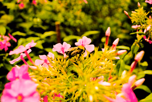 Item #40090172695085413256965535555586358742660933280315103792741764924048207249409 Media