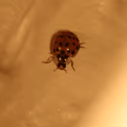 51124555051901614330264480006545612592022390906904121289505624543717027217409