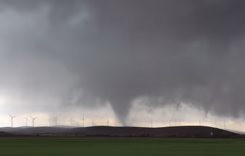 Item #75267556915026964297793292462611950567301118445284821533376532374071258644481 Media