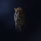 84086213762365484999011295717498246486922730022909159219035643560693029928972
