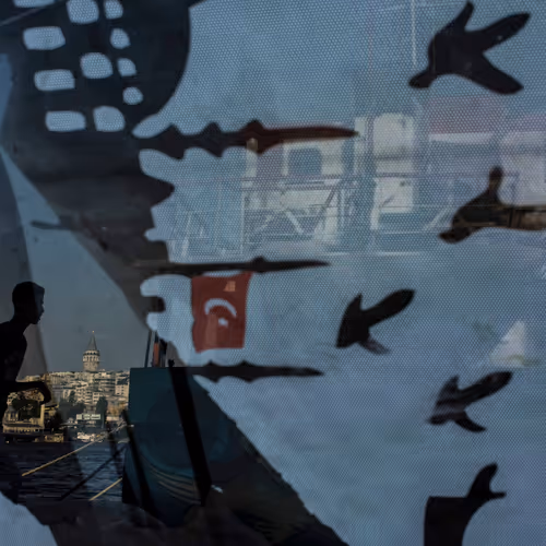 Umagumag Collection - old