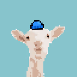 CryptoSheep Small Hat