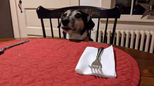 Item #79160273997787957836154565878224024328872719786714255845784138781794737586177 Media