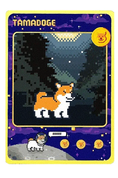 Item #90626407800004989724557044275502794982552356971360215900762027900639574581135 Media