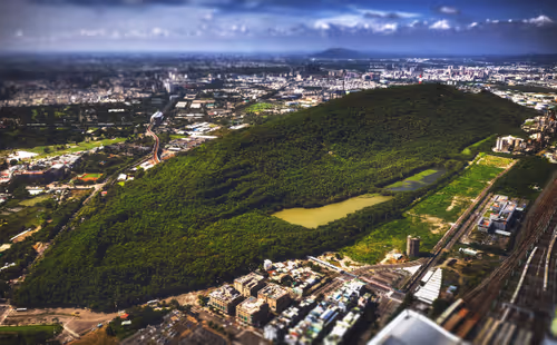 Item #94729080485503513708329965317332491879903775520225674536844109491808396902401 Media