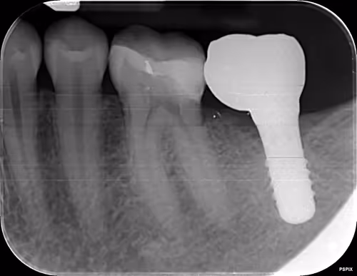 Item #11780915356901891937150191052604117223978980698243640119023280906959797092353 Media