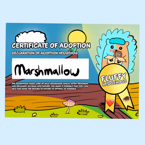 Fluffy Adoptions