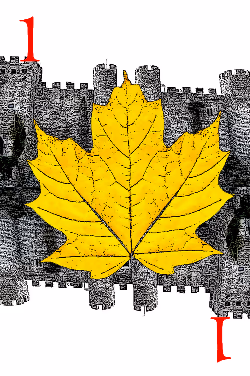 Item #725871994361601053273897083725667630871827410788579972353670394397805510657 Media