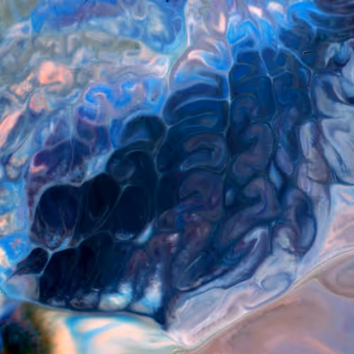 24074810528421772514233601070827590066402087809941770395158209028597491957761