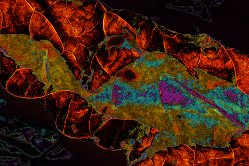 Item #11128123256113201505825332092376579448973501376012613523417643042577112367105 Media