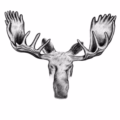 Item #115642348900939839605664246345985153537088577067861875053419533922947869704193 Media