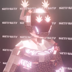 Stoner Cyber Police