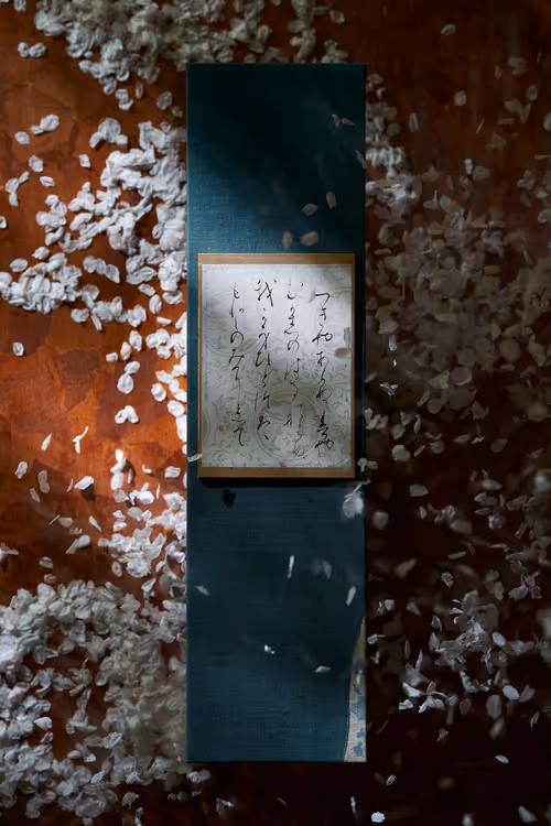 Item #19160739645067824681007973084487879585961151608585096731798183708468571013121 Media