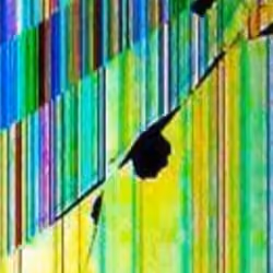 polychrome