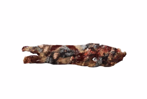 Item #22900232604420011537493696971111842688534829566160071035010649900749735067649 Media